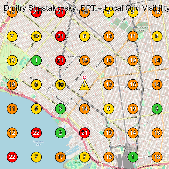 Dmitry Shestakovsky, DPT Physical Therapist GeoGrid ranking map for Brooklyn NY